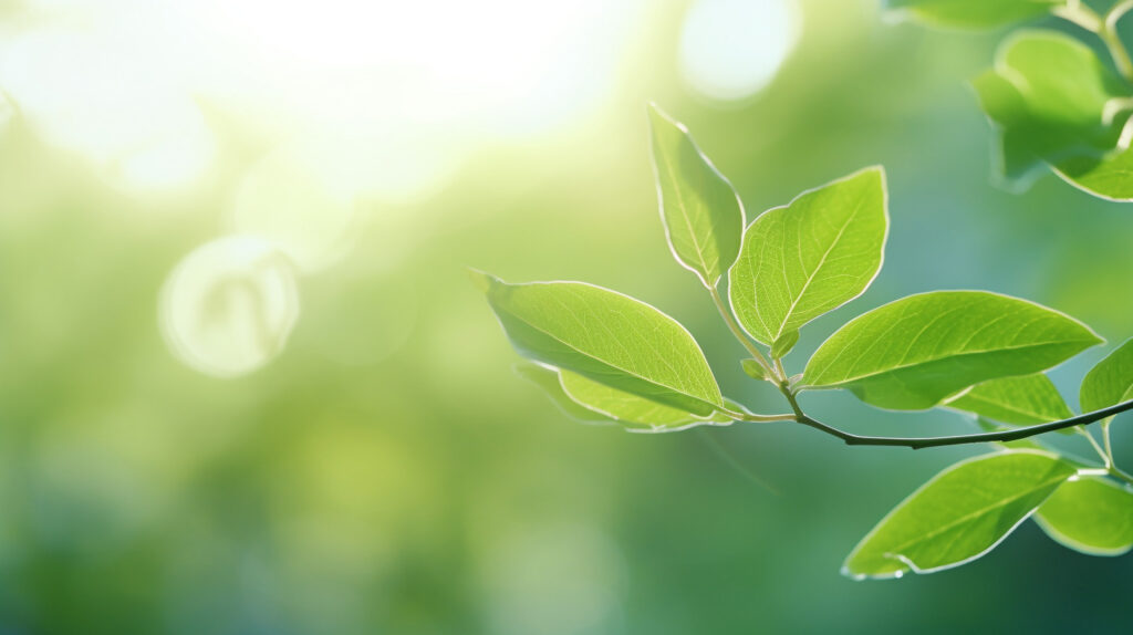 que gas absorben las plantas durante la respiracion